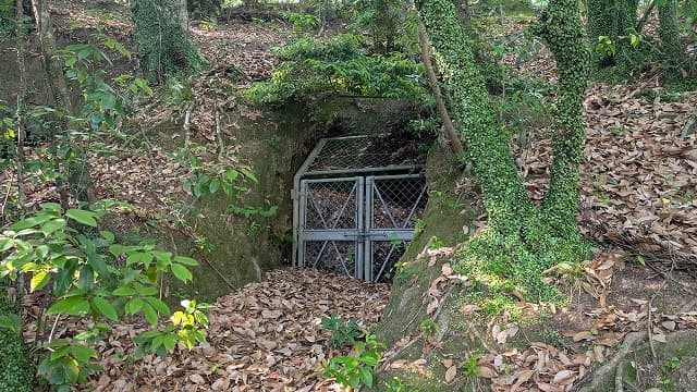 宮崎市の池内横穴