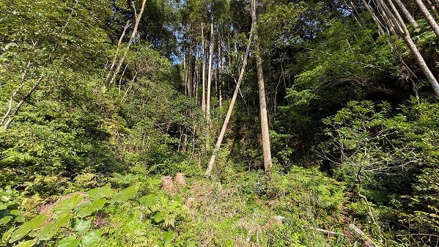 宮崎県西都市の九流水横穴墓群