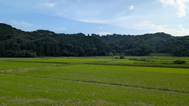 宮崎県西都市の上穂北村古墳