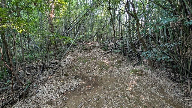 宮崎県西都市の都於郡村古墳