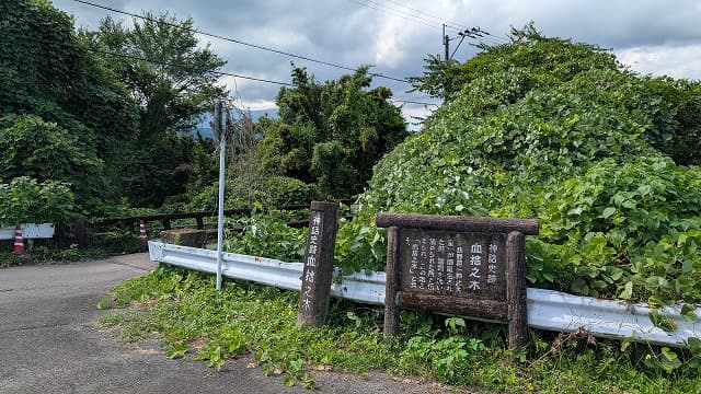 宮崎県西諸県郡の血捨之木