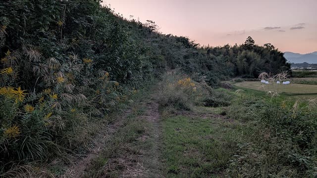 宮崎県東諸県郡の本庄町古墳