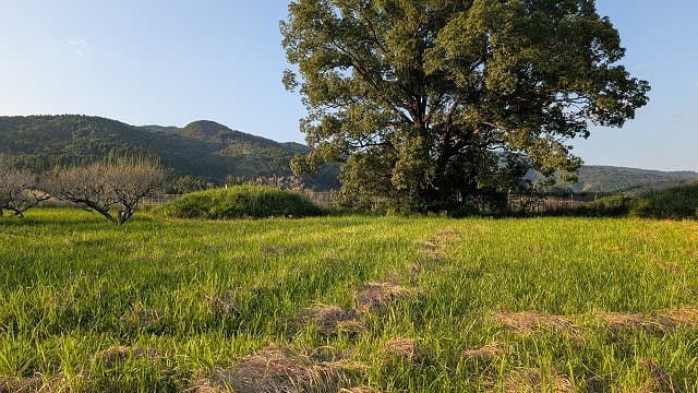 宮崎県児湯郡の木城村古墳