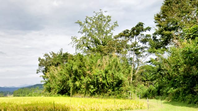 宮崎県西臼杵郡の上野村古墳