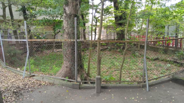 鹿児島県の弥生式住居跡