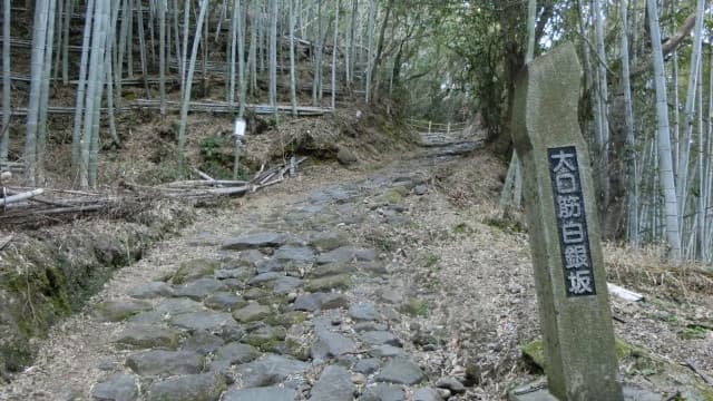 鹿児島県姶良市の白銀坂
