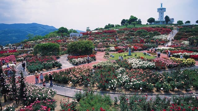 鹿児島県鹿屋市のかのやばら園