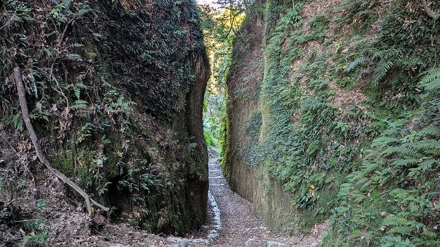 薩摩川内市の清色城跡