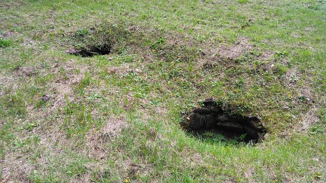 鹿児島県伊佐市の大住古墳群