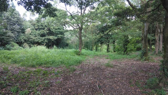 鹿児島県の建昌城跡