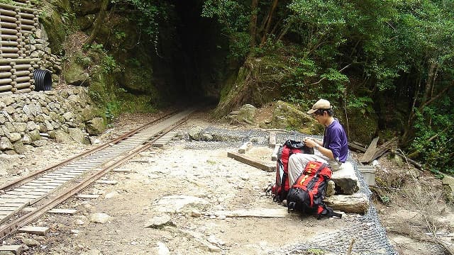屋久島のトロッコ道