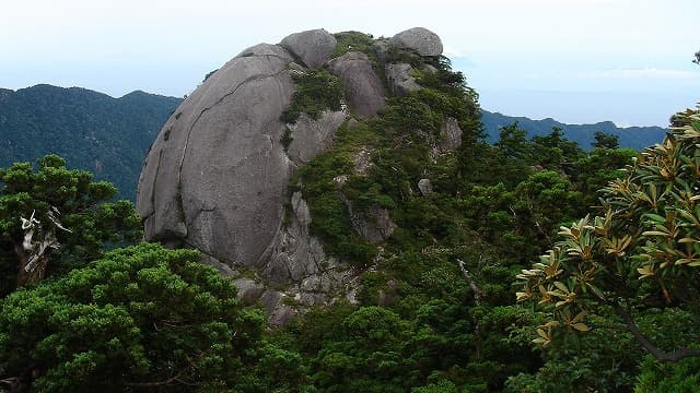 屋久島のビャクシン岩(坊主岩)