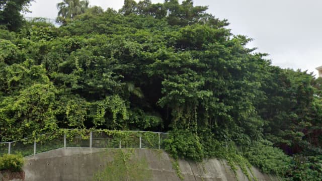 沖縄県那覇市の崎樋川貝塚