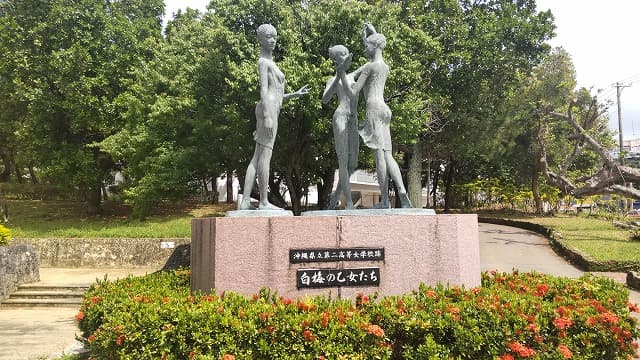 沖縄県那覇市の松山公園の白梅の乙女たち