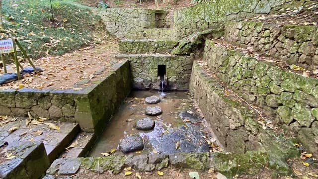 沖縄県宜野湾市の宜野湾市森の川