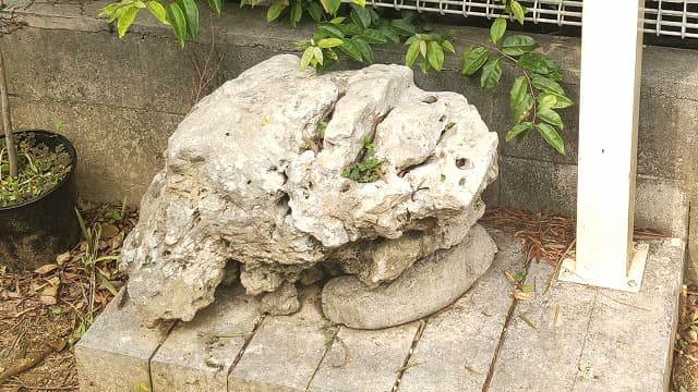 沖縄県宜野湾市のメントー前のシーサー