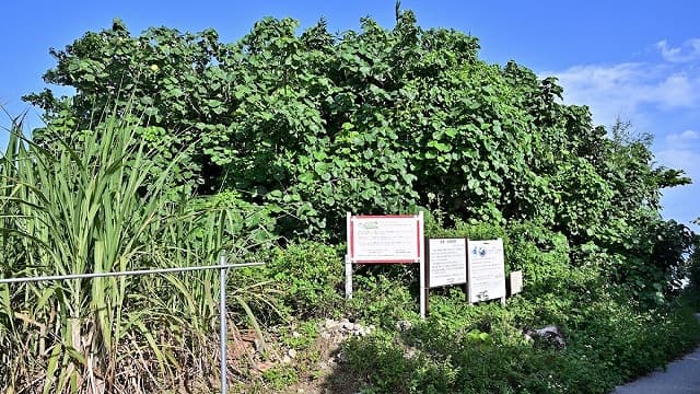 沖縄県糸満市の米須貝塚